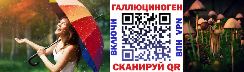 Купить  Челябинск  Галлюциногенные грибы Psilocybe 